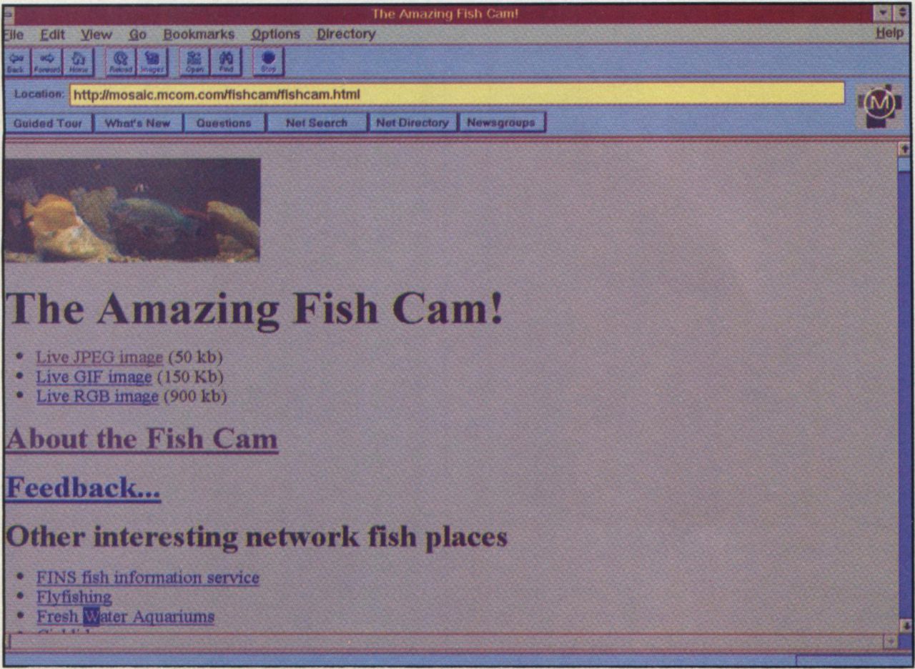 Fish Cam, December 1994