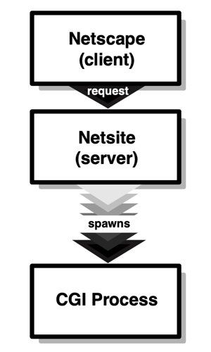 CGI process in Netsite