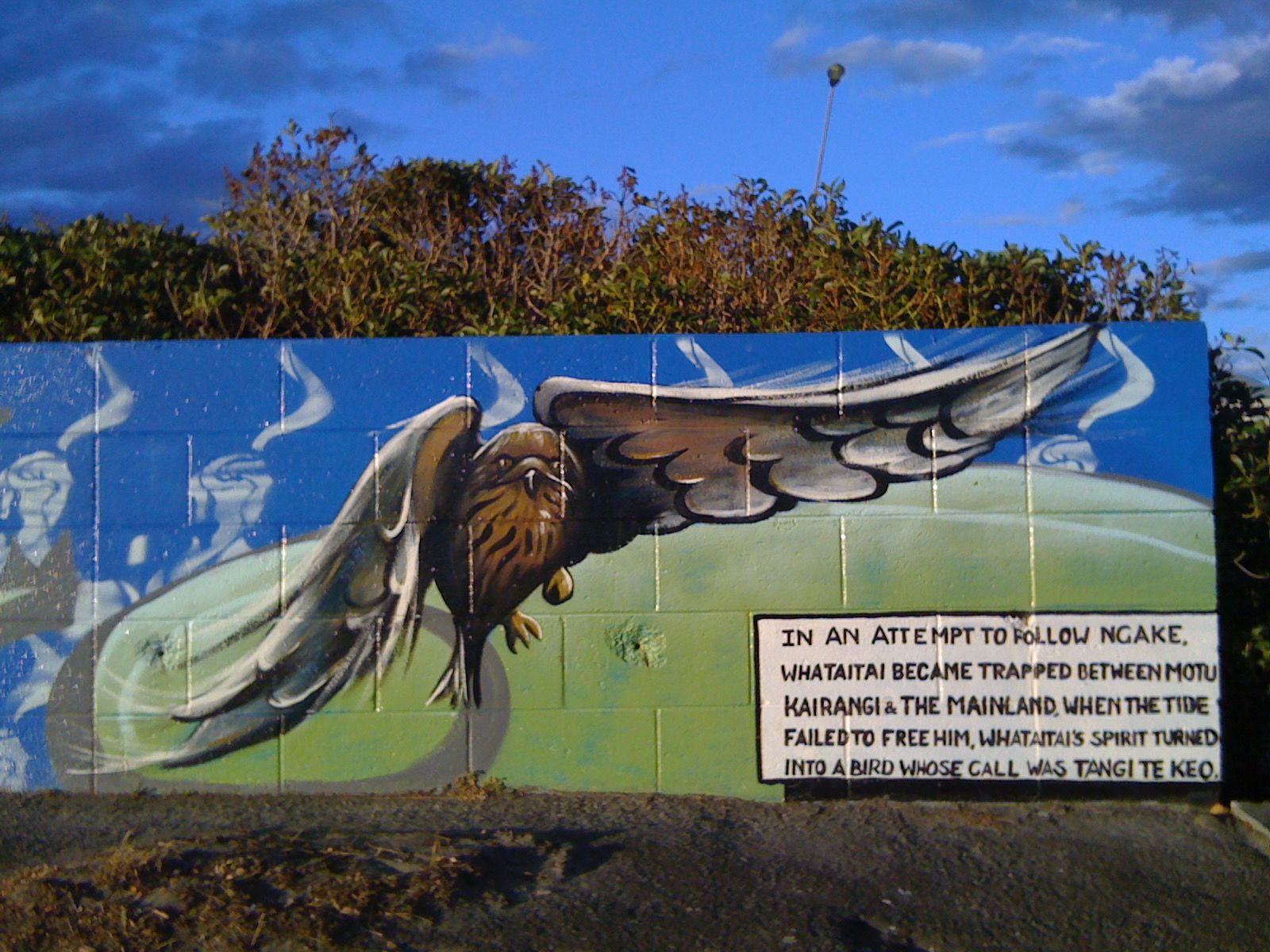 Ngake and Whātaitai the taniwha of Wellington harbour