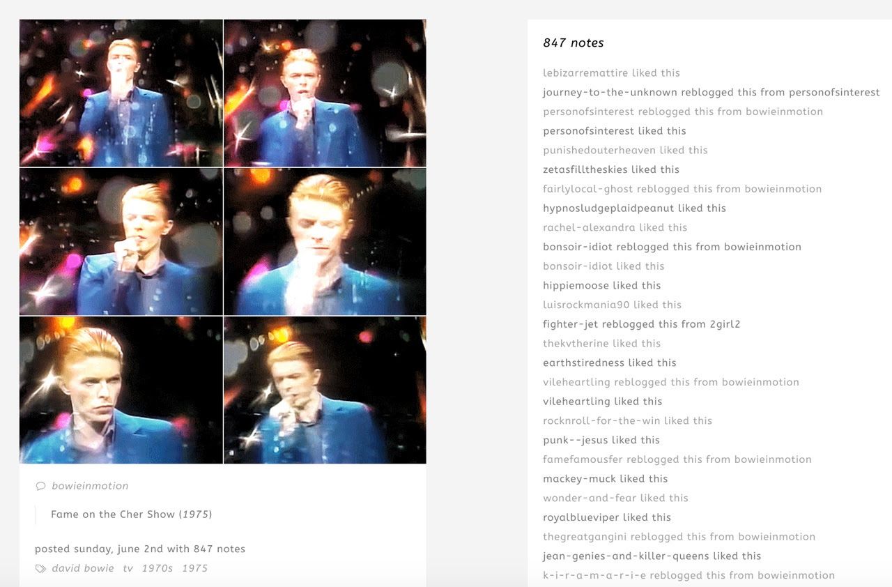 Bowie tumblr