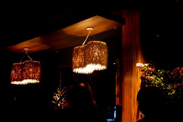 coconut light fixtures