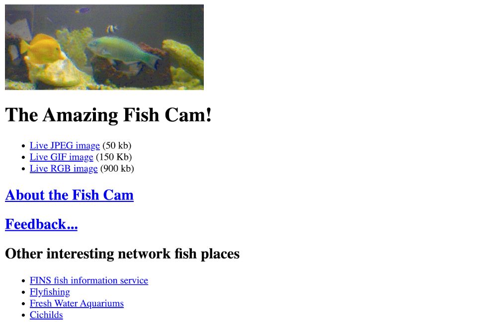 Fish Cam, December 1994